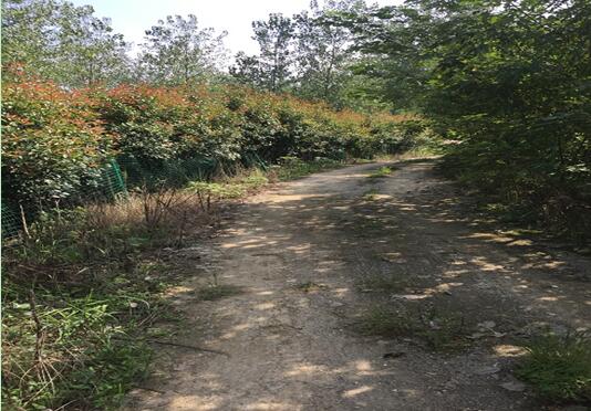 ���Ϸ���վ���¼��g�a�I�_�l�^**������e���޹�˾�����ټ��w�����ϵķ�������ľ����������Y�a�Ј��rֵ�u�����Ŀ����