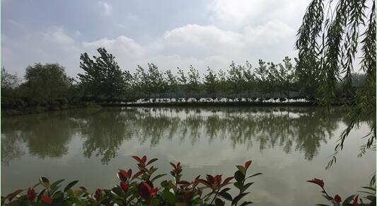 ���Ϸ���վ���¼��g�a�I�_�l�^**������e���޹�˾�����ټ��w�����ϵķ�������ľ����������Y�a�Ј��rֵ�u�����Ŀ����